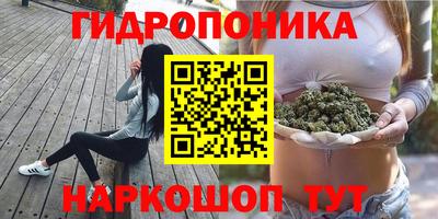 ПСИЛОЦИБИНОВЫЕ ГРИБЫ Кимры