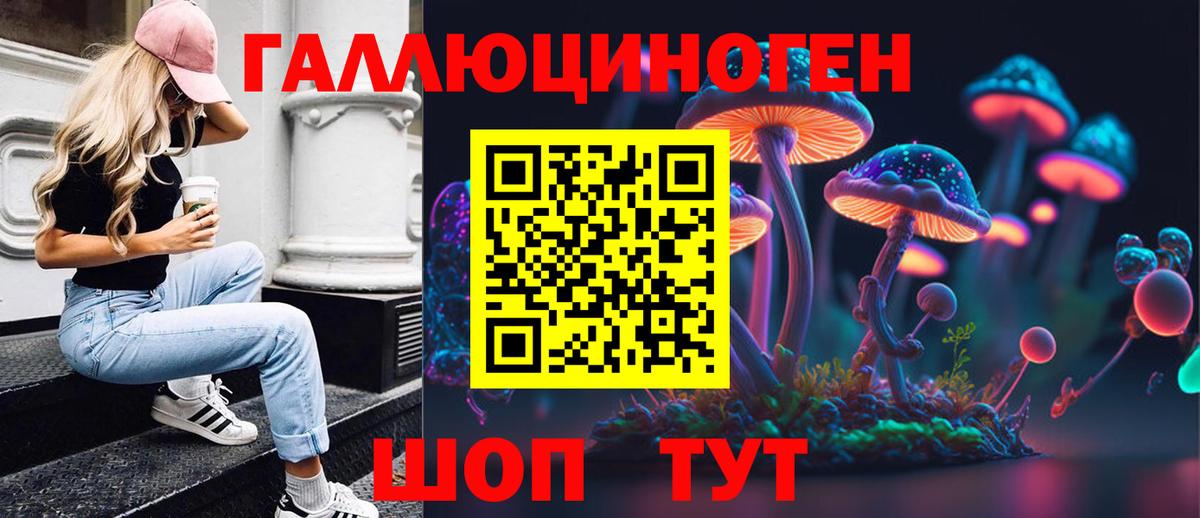 Псилоцибиновые грибы Psilocybe  Псилоцибиновые грибы GOLDEN TEACHER  Волхов  как найти наркотики  Вход с VPN 